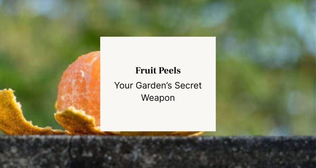 half peeled orange on cement slab