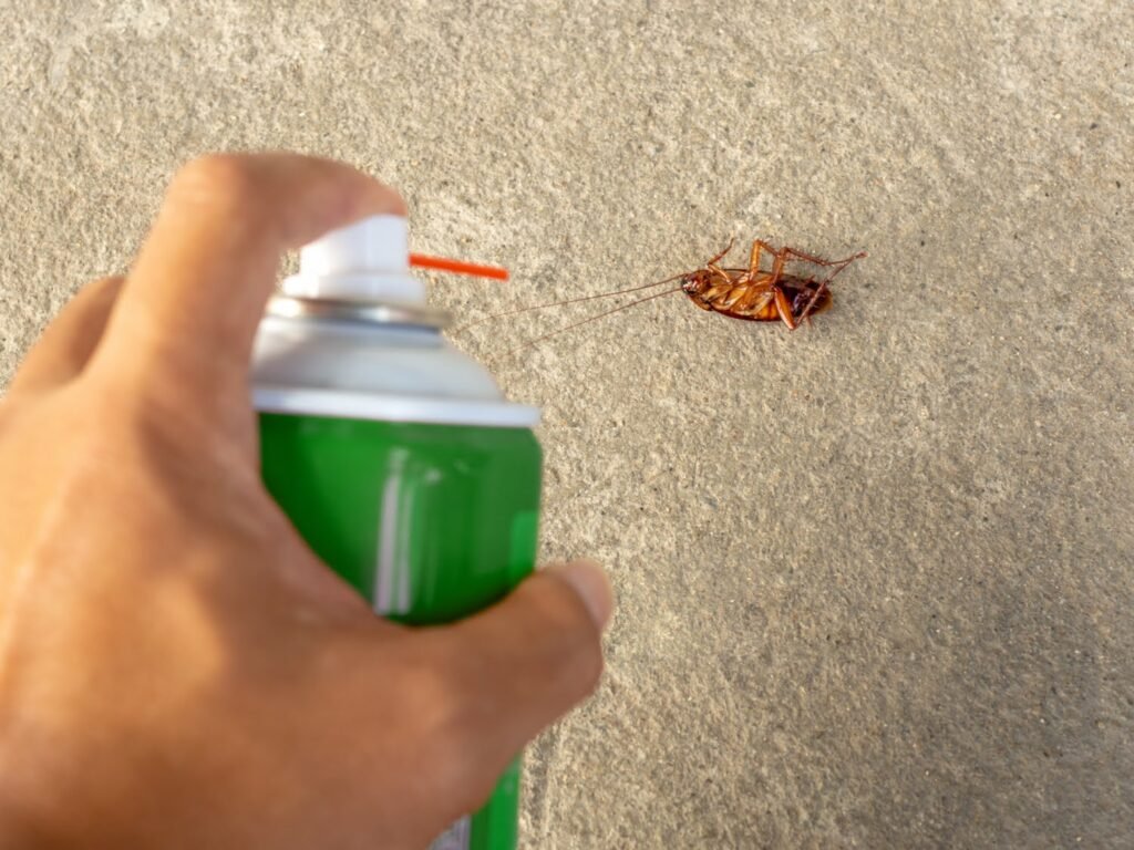 hand spraying on cockroach