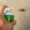 hand spraying on cockroach