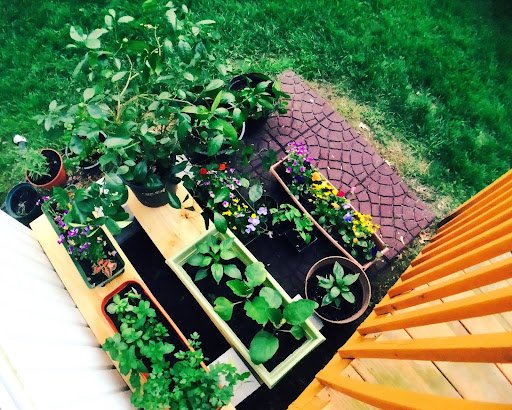 Herb-filled outdoor pots smart patio ideas for small spaces