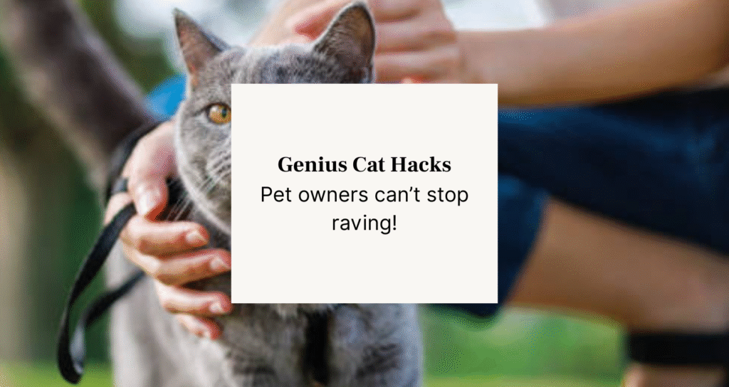 cat hacks