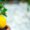 lemon plant in pot