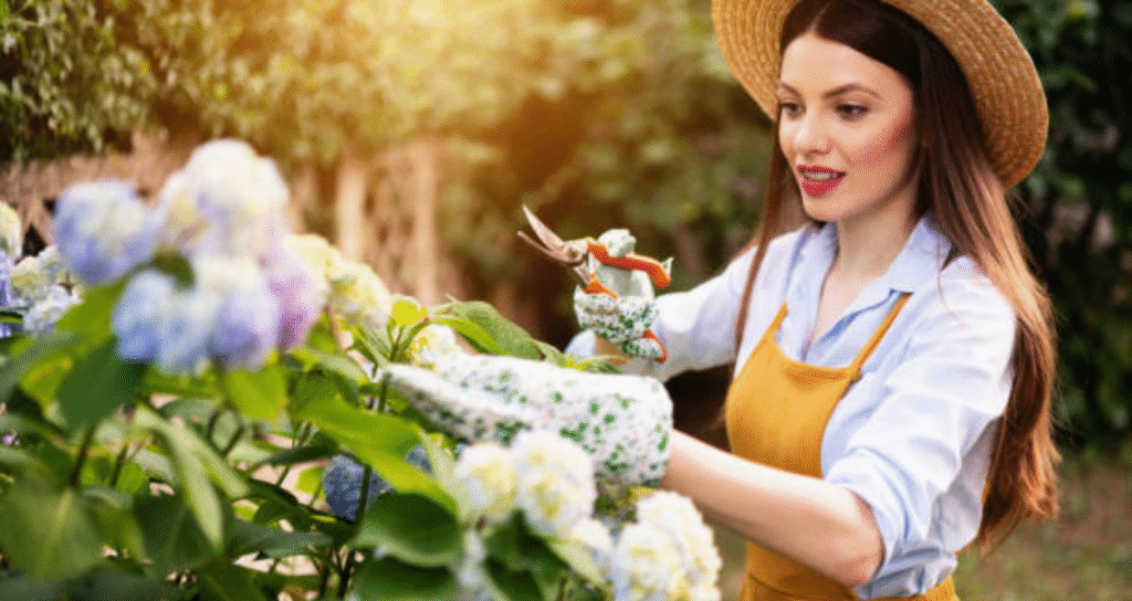 girl taking care of hydrangeas bloom