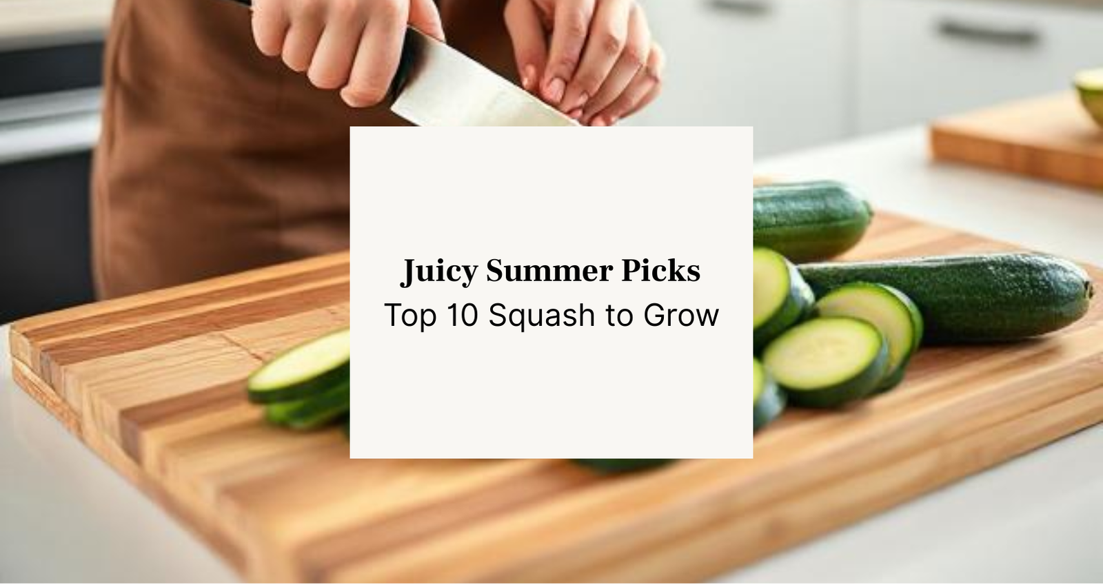 summer squash