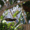 bird bath hanging in garden