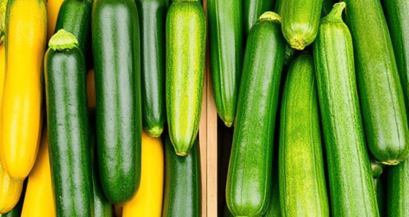 zoochee-veen in summer squash
