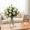 lift up coffee table