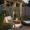 Garden furniture with swing, hanging plants, and fairy lights creating a cozy evening vibe