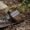 Cleaning soil from a garden trowel