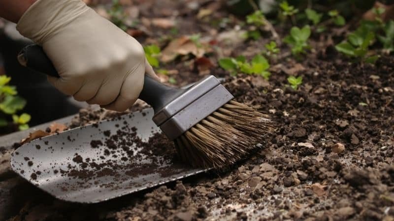 Cleaning soil from a garden trowel
