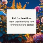 Colorful fall flowers in a garden