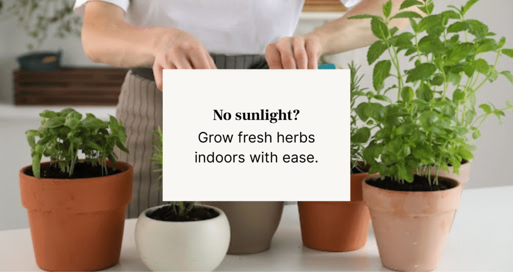 woman trimming plants in pots
