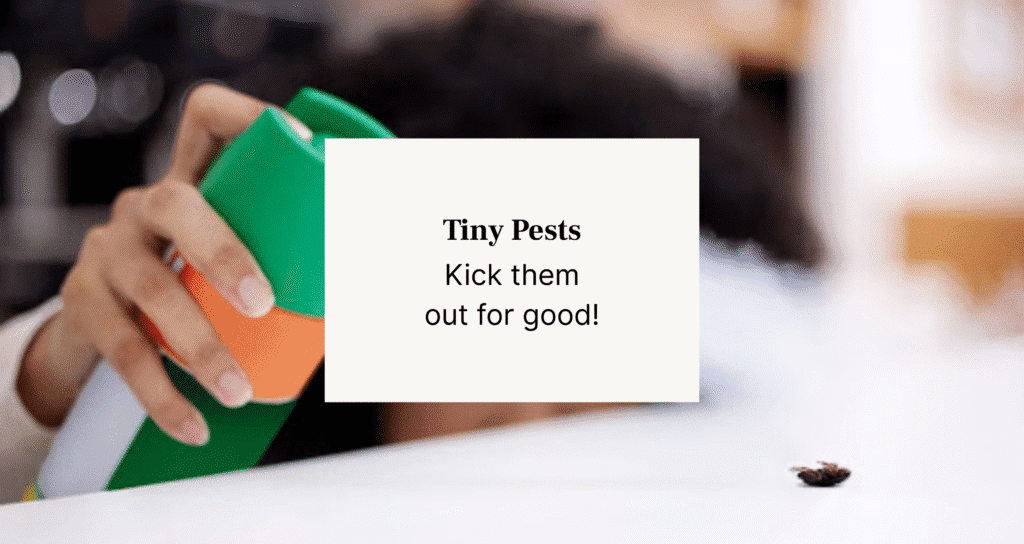 girl spraying on cockroach