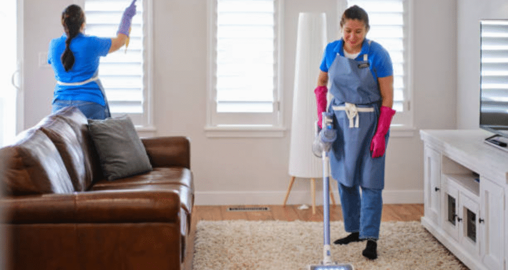 professional cleaning home