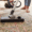 vaccuum cleaning carpet