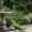 Simple garden with elegant birdbath
