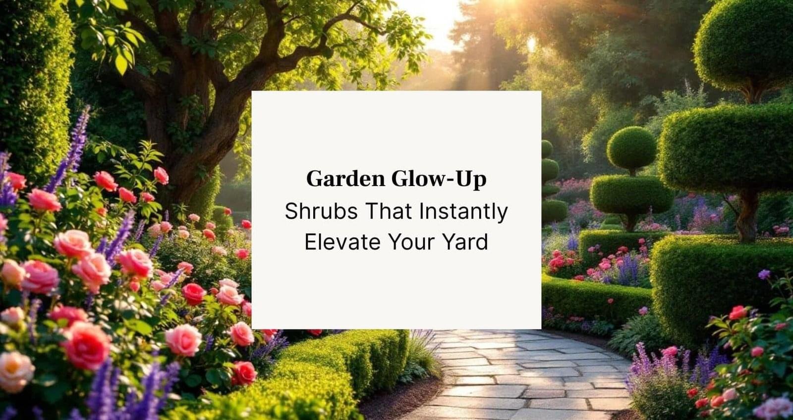 stunning shrubs enhancing garden beauty