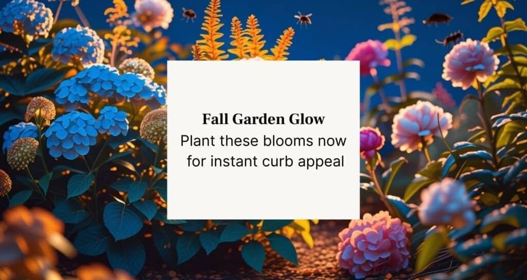 Colorful fall flowers in a garden